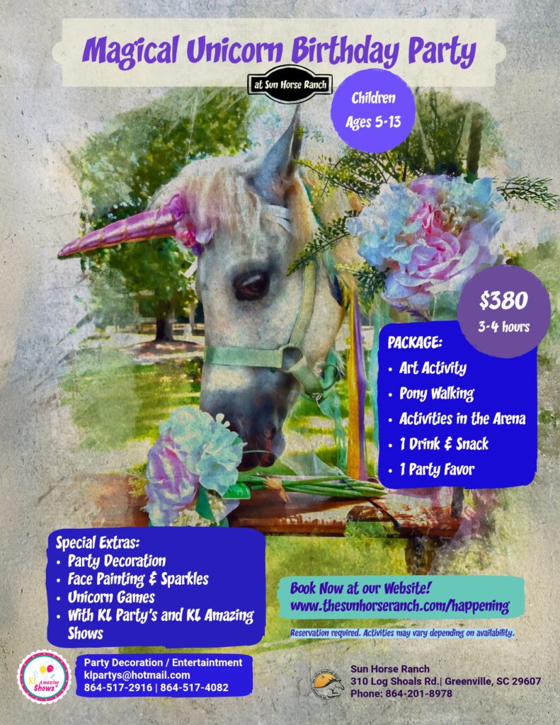 birthday party unicorn shr:2025
